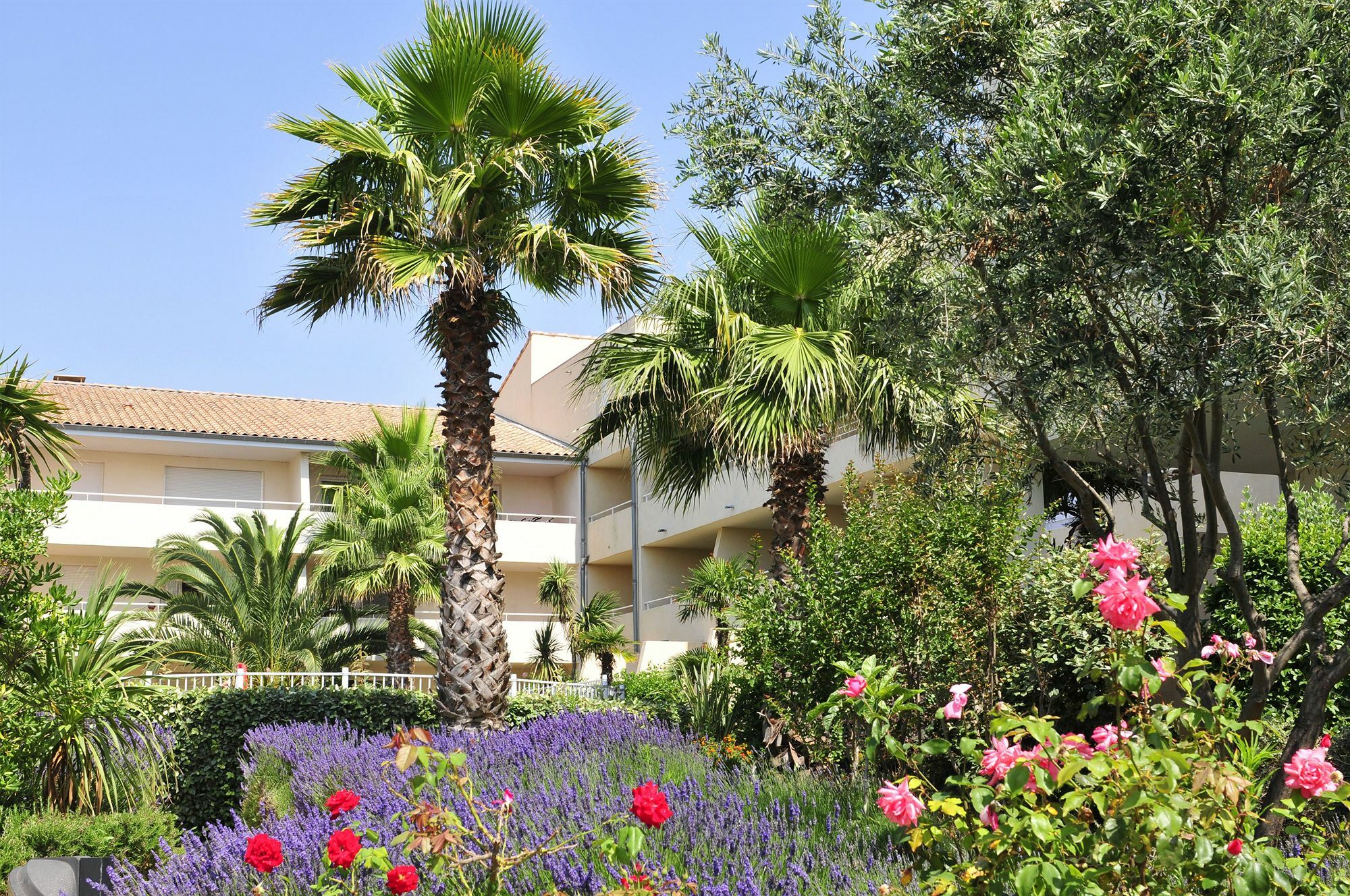 Residence Residhotel Mayflower Le Grau-du-Roi Exterior foto